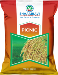 picnic