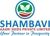 cropped shambavi new logo 1